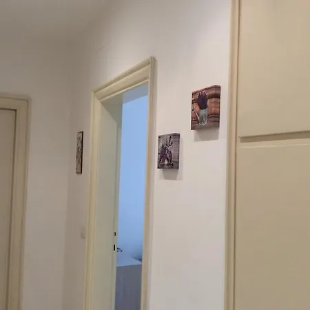 La Casa Di Olga *